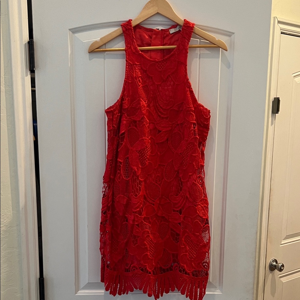 Lovers + Friends Vibrant Red Lace Mini Dress